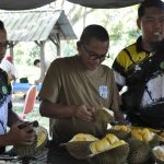 Durian Malaysia diakui terbaik dalam kalangan negara-negara ASEAN – KP MARDI