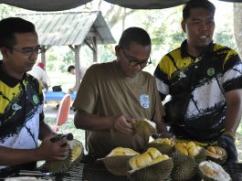 Durian Malaysia diakui terbaik dalam kalangan negara-negara ASEAN – KP MARDI